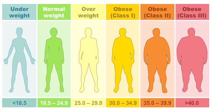 What is the difference between overweight and obesity?